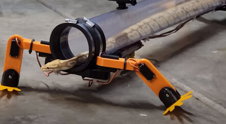 Yılanlardan özrünü robotik bacakla diledi: Pitona yürümesi için bacak taktı - dunya
