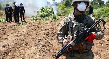 Eren Abluka terörün finans kaynağını kurutuyor! Diyarbakır'da 1 milyon kök kenevir ele geçirildi - gundem