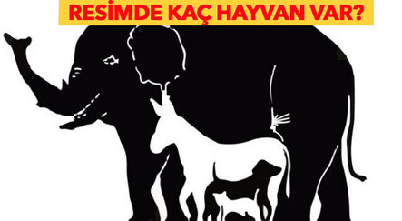Görselde kaç hayvan var? 1000 kişiden yalnızca 1’i doğruyu biliyor… Bakalım siz hemen çözecek misiniz? - magazin