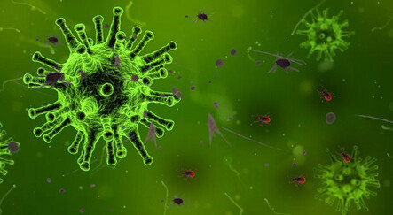 KKKA tehlikesine dikkat! Ölenlerin sayısı gün geçtikçe artıyor - gundem