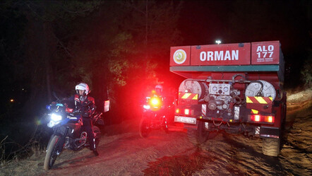 Muğla Ula'daki orman yangınında yeni gelişme: 1 gözaltı var - yasam