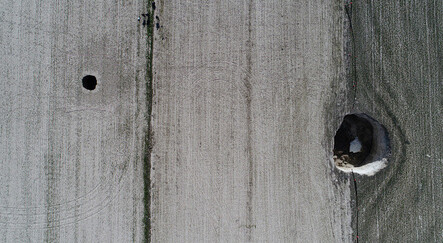 Sayıları giderek artıyor! 2600'ü aştı, yerleşim ve tarım alanlarına doğru ilerliyor - ekonomi