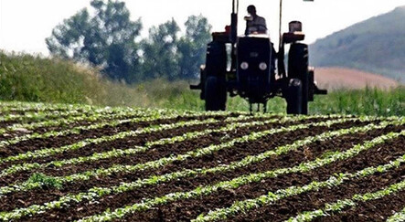 Son dakika haberi... Bakan Kirişci çiftçiye müjdeyi duyurdu: 709 milyonluk destek ödemesi bugün hesaplarda - gundem