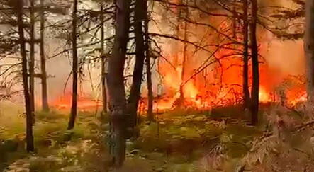 Tokat'ta korkutan orman yangını: Validen açıklama geldi - gundem